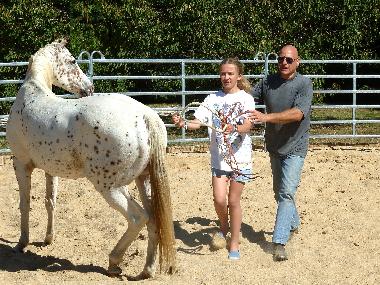 Holiday Apartment in FOSSEMAGNE (Dordogne) or holiday homes and vacation rentals