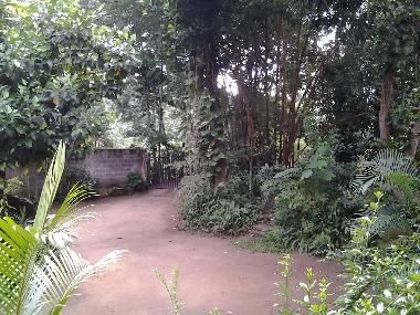 Holiday House in MATALE (Matale) or holiday homes and vacation rentals