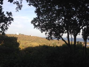 Holiday House in Porto Vecchio (Corse-du-Sud) or holiday homes and vacation rentals