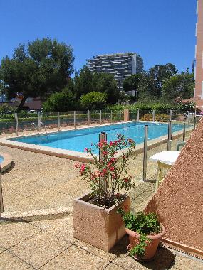 Holiday Apartment in Cannes (Alpes-Maritimes) or holiday homes and vacation rentals