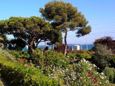 Holiday Apartment in Cannes (Alpes-Maritimes) or holiday homes and vacation rentals