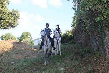 Holiday House in Raiva, Castelo de Paiva (Norte) or holiday homes and vacation rentals