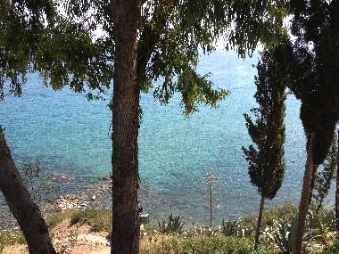 Exotic areas to discover