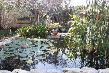 Holiday House in Siracuse (Siracusa) or holiday homes and vacation rentals