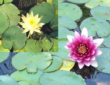 Holiday House in Siracuse (Siracusa) or holiday homes and vacation rentals