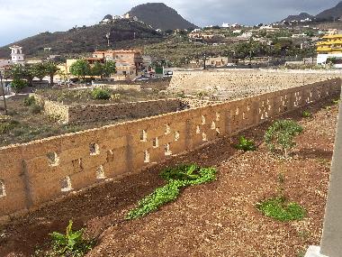 Holiday House in La Sabinita Baja (Teneriffa) or holiday homes and vacation rentals