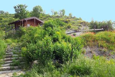 Bed and Breakfast in Mioglia (Savona) or holiday homes and vacation rentals