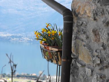 Holiday Apartment in  Gravedona ed Uniti (Como) or holiday homes and vacation rentals