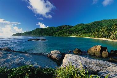 Beach of Anse Forbans @Chalets d Anse Forbans