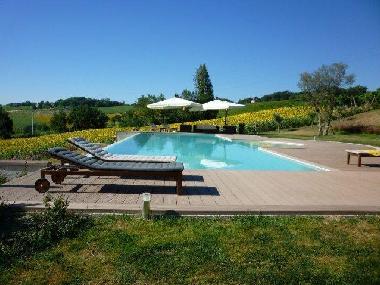 Holiday Apartment in morro d'alba (Ancona) or holiday homes and vacation rentals