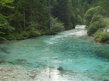 Clear and beautiful river Bistrica in the village Mojstrana