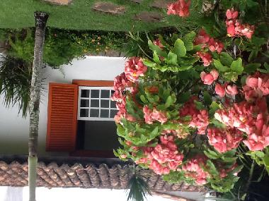 Holiday House in Buzios (Rio de Janeiro) or holiday homes and vacation rentals