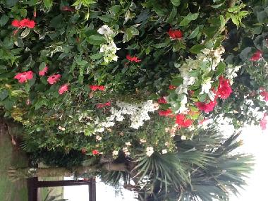 Holiday House in Buzios (Rio de Janeiro) or holiday homes and vacation rentals