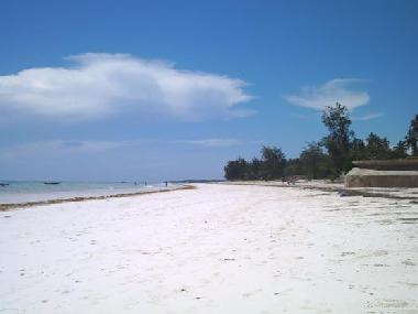the beautiful beach 