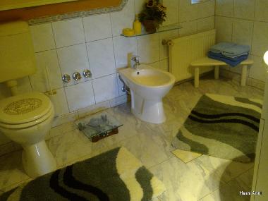Holiday House in Balatonbogl�r (Somogy) or holiday homes and vacation rentals