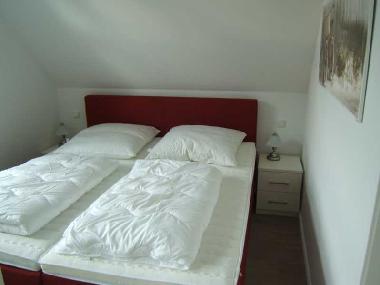 Holiday Apartment in Zingst (Fischland-Dar-Zingst) or holiday homes and vacation rentals