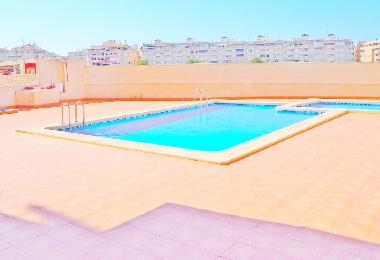Holiday Apartment in Torrevieja (Alicante / Alacant) or holiday homes and vacation rentals