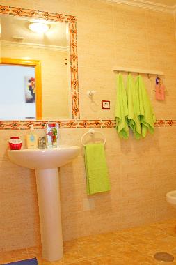 Holiday Apartment in Torrevieja (Alicante / Alacant) or holiday homes and vacation rentals