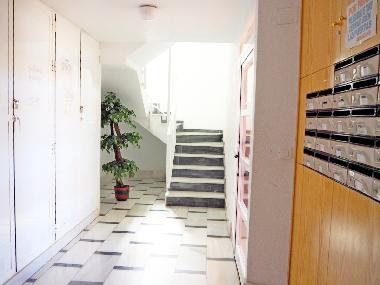 Holiday Apartment in Torrevieja (Alicante / Alacant) or holiday homes and vacation rentals