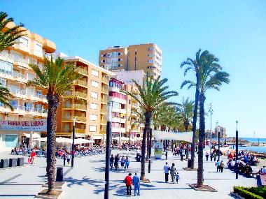 Holiday Apartment in Torrevieja (Alicante / Alacant) or holiday homes and vacation rentals
