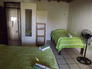 Bed and Breakfast in 13000 (Piura) or holiday homes and vacation rentals