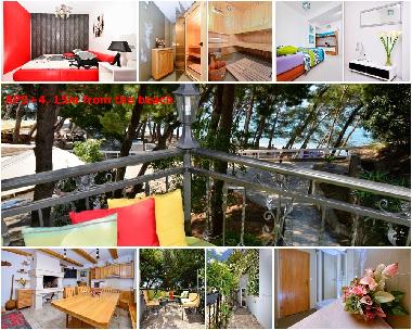 Holiday Apartment in Makarska (Splitsko-Dalmatinska) or holiday homes and vacation rentals