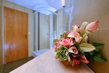 Holiday Apartment in Makarska (Splitsko-Dalmatinska) or holiday homes and vacation rentals