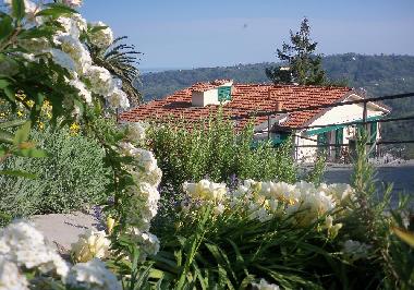 Holiday Apartment in Rapallo (Genova) or holiday homes and vacation rentals