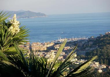 Holiday Apartment in Rapallo (Genova) or holiday homes and vacation rentals