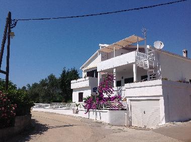 Holiday House in Zadar (Zadarska) or holiday homes and vacation rentals