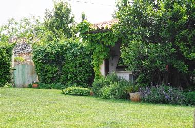 automatic watering lawns