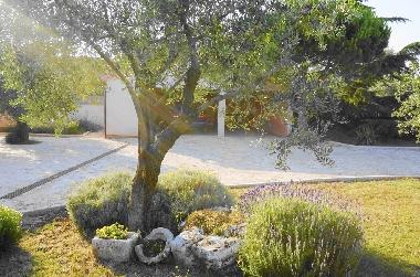 covered parking for two cars