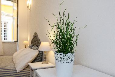 Holiday Apartment in Roma (Roma) or holiday homes and vacation rentals