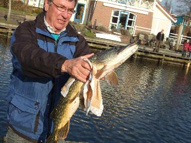 Holiday House in Workum (Friesland) or holiday homes and vacation rentals