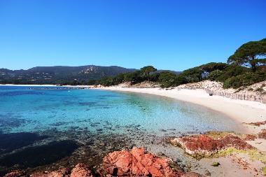 Holiday Apartment in portovecchio (Corse-du-Sud) or holiday homes and vacation rentals