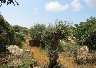 Villa in Xaghra (Gozo) or holiday homes and vacation rentals