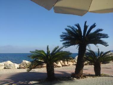View from La Esquina bar in the Port