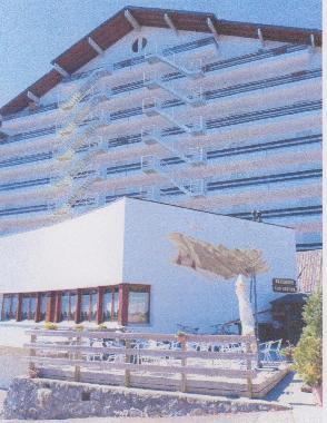 Holiday Apartment in Torgon (Torgon) or holiday homes and vacation rentals