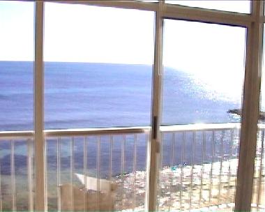 Holiday Apartment in Torrevieja (Alicante / Alacant) or holiday homes and vacation rentals