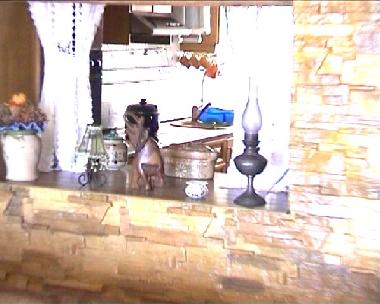 Holiday Apartment in Torrevieja (Alicante / Alacant) or holiday homes and vacation rentals