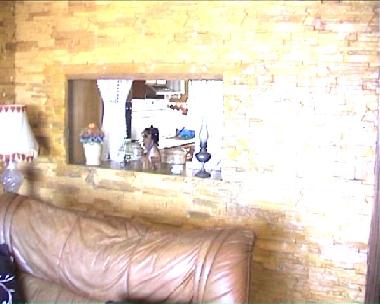 Holiday Apartment in Torrevieja (Alicante / Alacant) or holiday homes and vacation rentals