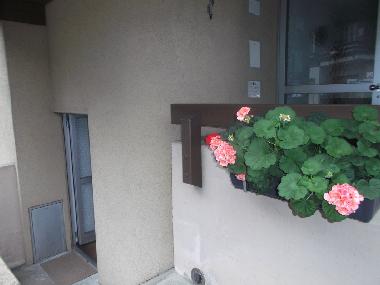 Holiday Apartment in Lauterbrunnen (Lauterbrunnen - Jungfrau) or holiday homes and vacation rentals