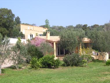 Holiday House in porto vecchio (Corse-du-Sud) or holiday homes and vacation rentals