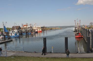 Holiday House in Eckwarderh�rne (Nordsee-Festland / Ostfriesland) or holiday homes and vacation rentals