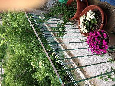 Holiday Apartment in Ortona Dei Marssi (L