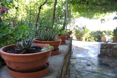 Villa in Lindos Rhodes (Dodekanisos) or holiday homes and vacation rentals