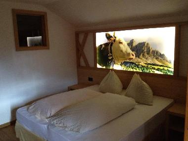 Bed and Breakfast in Antermoia  (Bolzano-Bozen) or holiday homes and vacation rentals