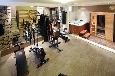 Villa in Makarska (Splitsko-Dalmatinska) or holiday homes and vacation rentals