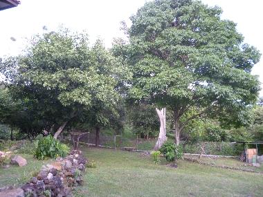 Holiday House in Veracruz (Panama) or holiday homes and vacation rentals