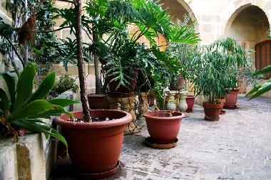 Holiday House in Xaghra (Gozo) or holiday homes and vacation rentals